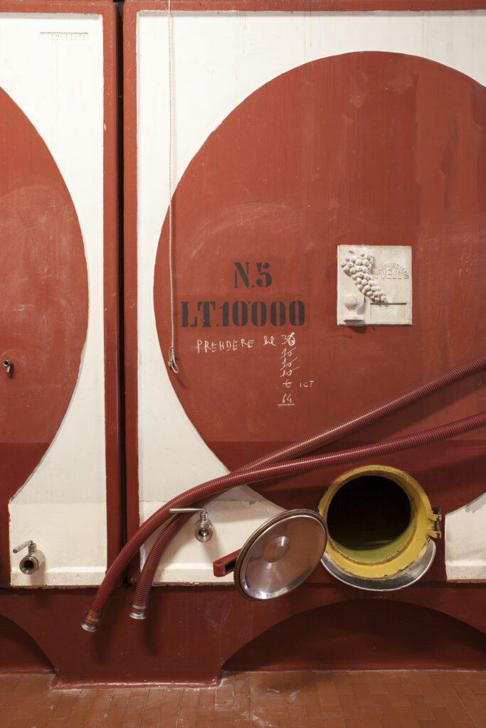 La Torre alle Tolfe Concrete Tanks Cellar